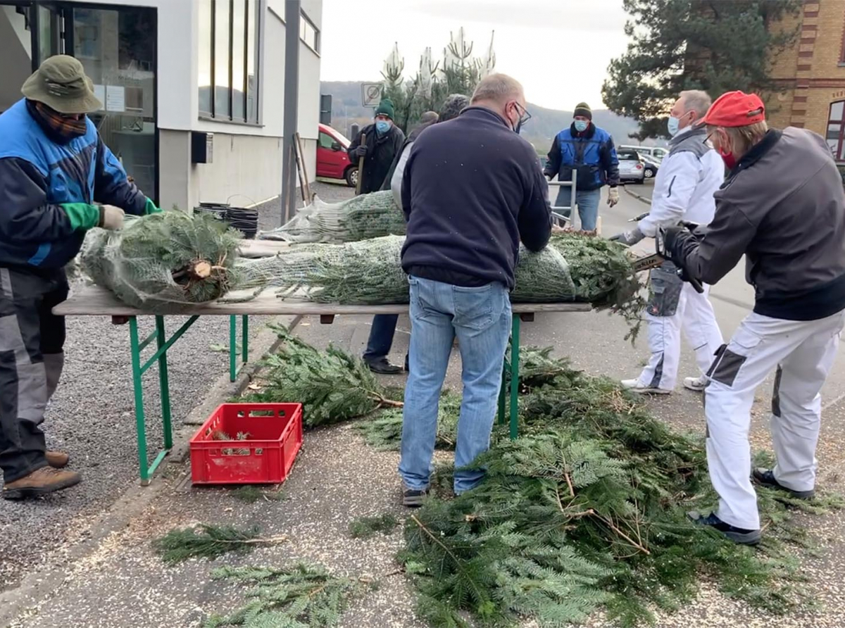 Weihnachtsbaum-Aktion in Oberwinter 2020