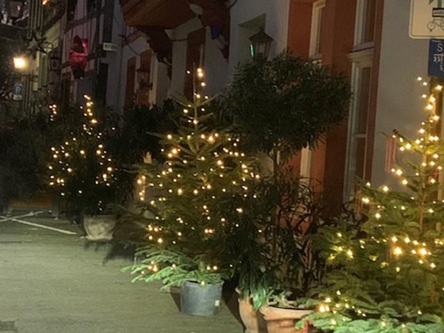 Die Weihnachtsbaum-Aktion zur Dekoration der Hauptstraße in Oberwinter 2020